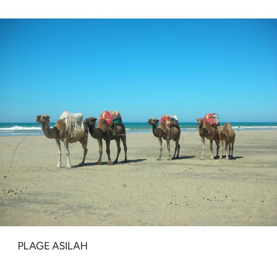 דירות Briech Tanger/Asilah: Appart 50M2 Face Mer Et Piscines, 5 Places, Tout Equipe+Wifi+Clim מראה חיצוני תמונה